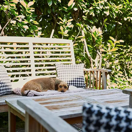 Has & Igel - Maerchenhaft In Bis 10 Personen - 4 Schlafzimmer - Terrasse - 140 Qm - 2 Parkplaetze Unterm Carport